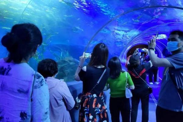 2024年世界海洋日暨全国海洋宣传日主场活动在厦门举行(图1)