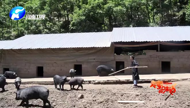 美食背后的匠心与传承——《老家的味道》让美食成为文化传承助推器(图5)