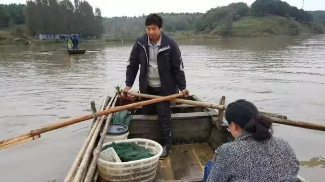 美食背后的匠心与传承——《老家的味道》让美食成为文化传承助推器(图7)