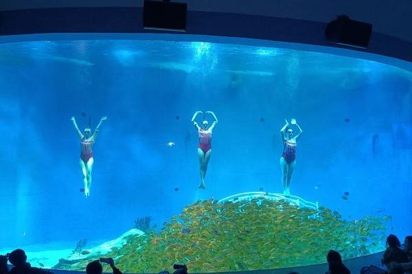 2024年世界科技与发展论坛：探索碳中和“海洋负排放方案”(图1)