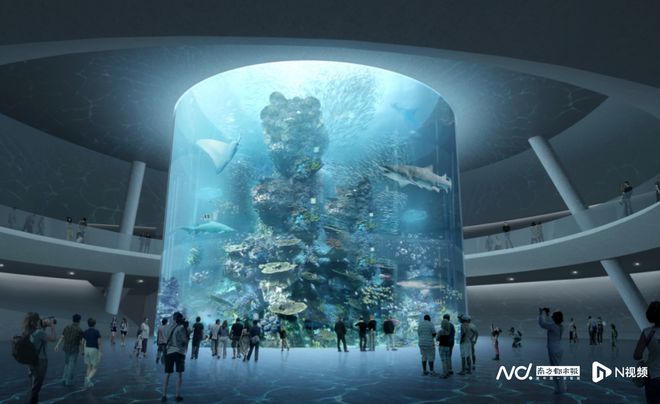 涨价5成！小梅沙海洋世界“十一”试营业240元票价值吗(图5)