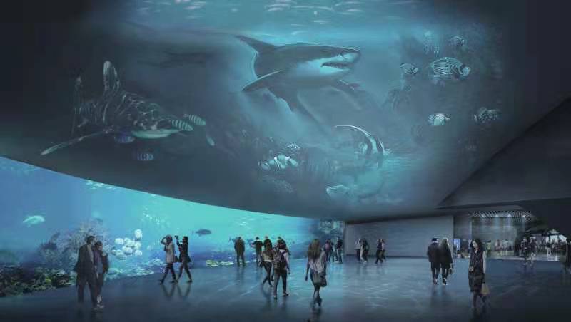 绵阳海底世界2024开放时间+地址+票价(图1)