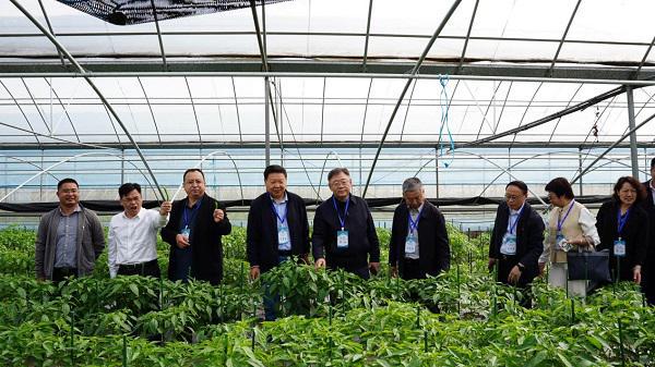 江西萍乡通过“中国生态美食地标辣文化之都”生态区域公用品牌评定(图2)