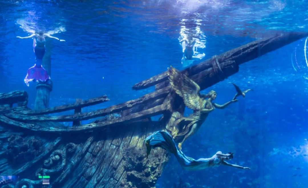 2024重庆融创海世界中秋节门票优惠+表演时间+游玩攻略(图1)