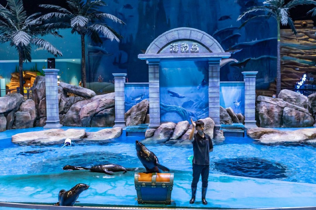 2024重庆融创海世界中秋节门票优惠+表演时间+游玩攻略(图2)