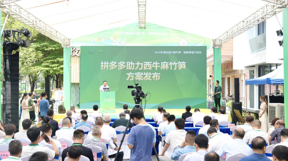 味传千里传统美食的现代演绎(图4)