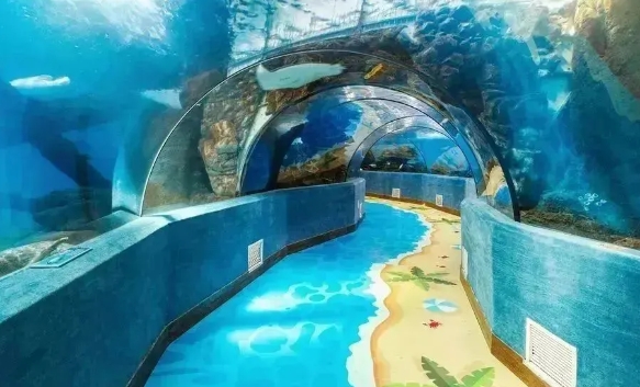 2024深圳小梅沙海洋世界开业最新消息(图1)