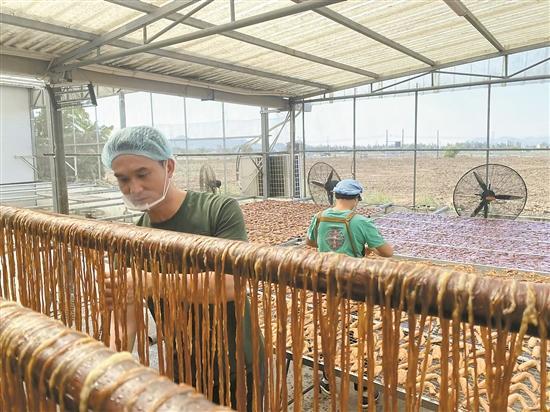 珠海斗门横山鸭扎包：省级非遗风味技艺独特 百年佳肴承载“家”的味道(图5)