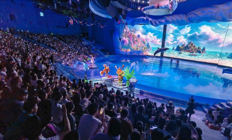 小梅沙海洋世界今日迎来逾八千名“体验官”探馆(图2)