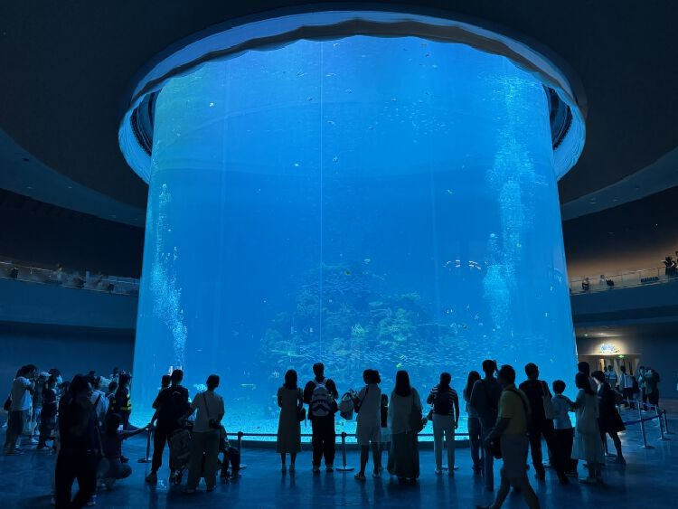 小梅沙海洋世界今日迎来逾八千名“体验官”探馆(图4)