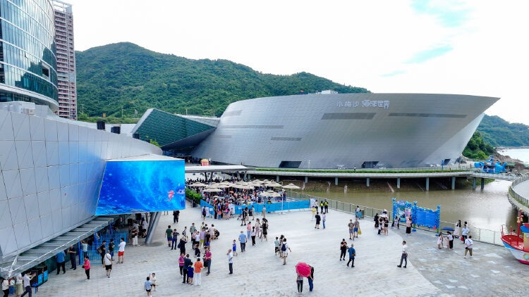 小梅沙海洋世界今日迎来逾八千名“体验官”探馆(图5)