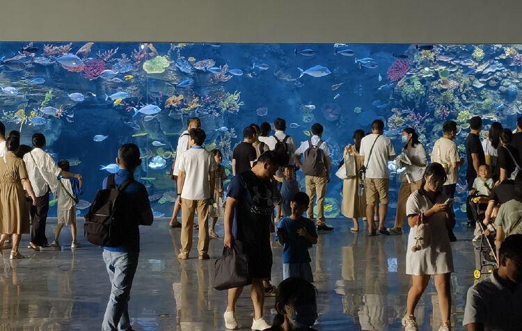 小梅沙海洋世界今日迎来逾八千名“体验官”探馆(图6)