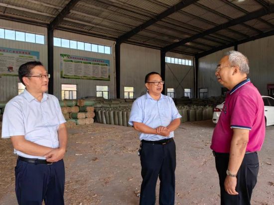 四川宣汉：探寻巴人生态食材 创建巴人生态美食文化之都(图3)