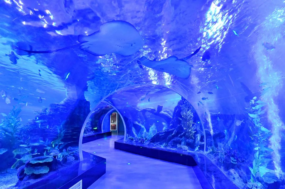 2024软科世界一流学科排名发布(图1)