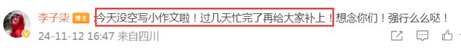 李子柒更新视频宣布回归将发小作文揭露真相停更三年从未放弃(图3)