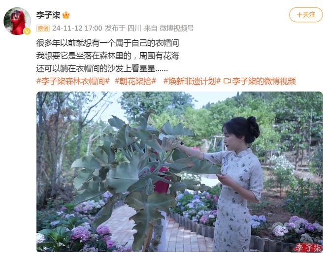 李子柒更新视频宣布回归将发小作文揭露真相停更三年从未放弃(图10)