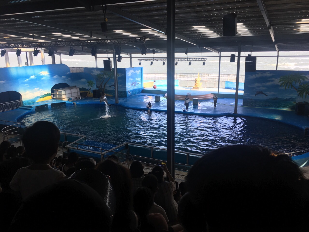 科技助力海洋牧场提质增效 机器人下水海域巡检事半功倍(图1)