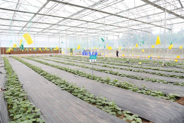 上海中腾食品：新时代的食堂承包餐饮模式的成熟与创新(图2)