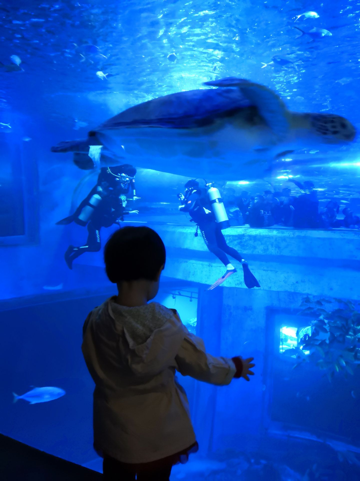 中远海运特运首次亮相2024世界海洋装备大会暨第二届中国海洋装备博览会(图1)