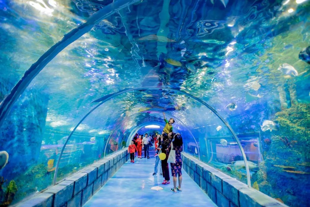 深圳小梅沙海洋世界现场实拍图→(图1)