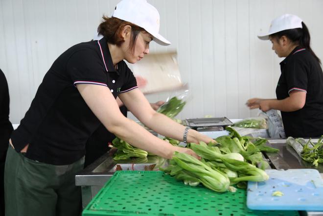沪鑫餐饮：细节决定成败蔬菜配送到美味菜品每一步都至关重要(图2)