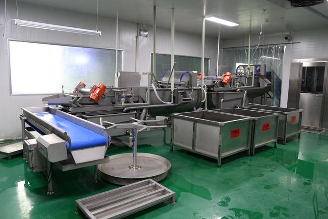 沪鑫餐饮：细节决定成败蔬菜配送到美味菜品每一步都至关重要(图4)
