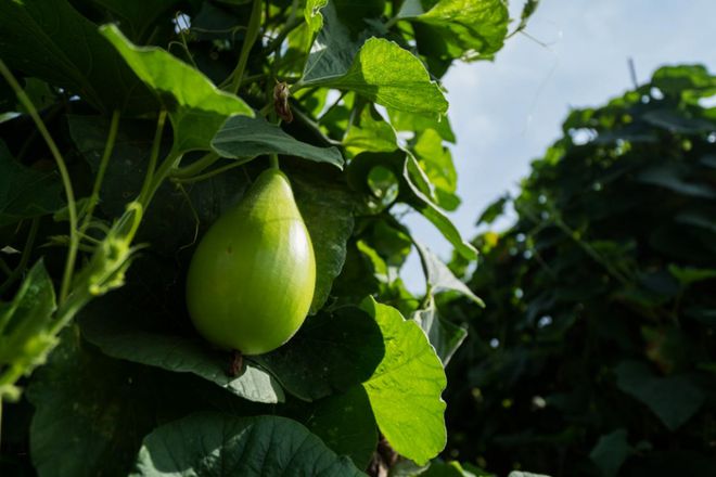 2024年团餐市场风向标：三大创新趋势深度剖析！(图2)