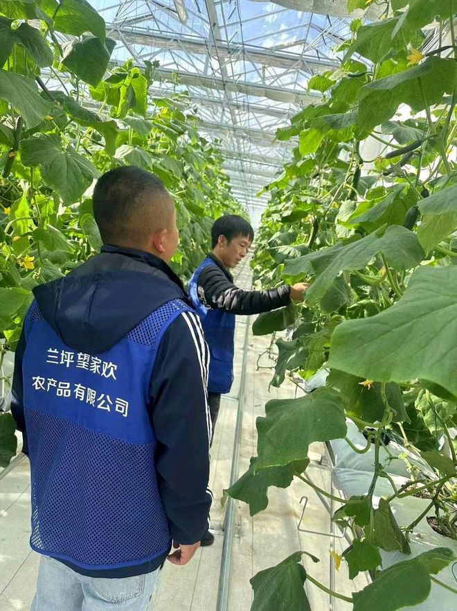 2024年团餐市场风向标：三大创新趋势深度剖析！(图4)