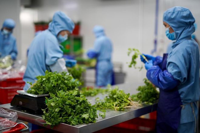 2024年团餐市场风向标：三大创新趋势深度剖析！(图6)