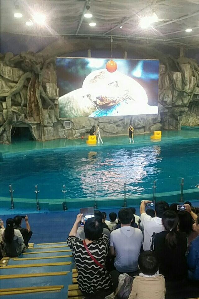 2025宁波海洋世界旅游攻略-宁波海洋世界自助游-门票交通天气景点介绍(图1)