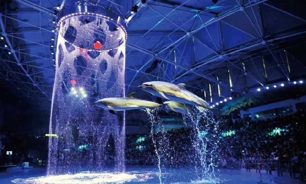 2024年五一大连圣亚海洋世界门票有优惠吗(图1)