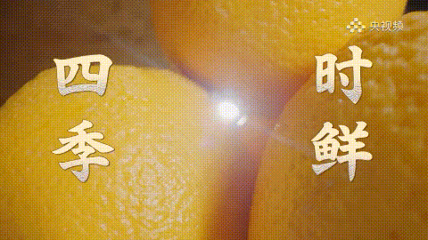 一省一辑+一城多品《中国美食大会》全景呈现中华美味(图7)