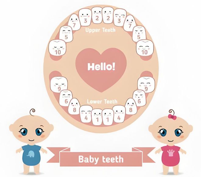 儿童牙齿矫正的三个黄金时期你家孩子不能错过--小鹿妈妈(图1)