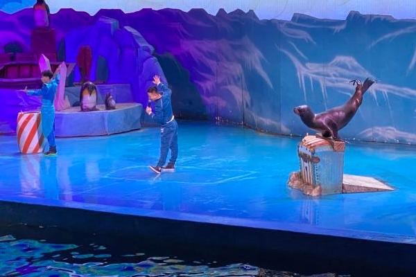 2024圣亚海洋世界游玩攻略演出时间(图2)