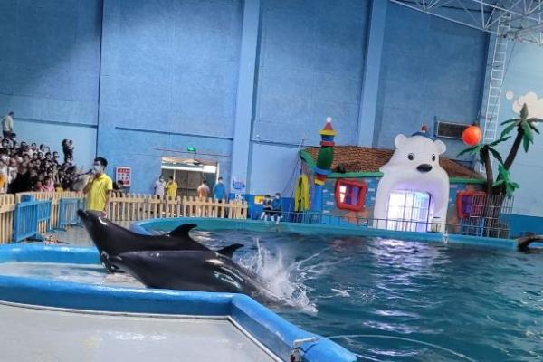 2024蓬莱海洋极地世界门票多少钱(图1)