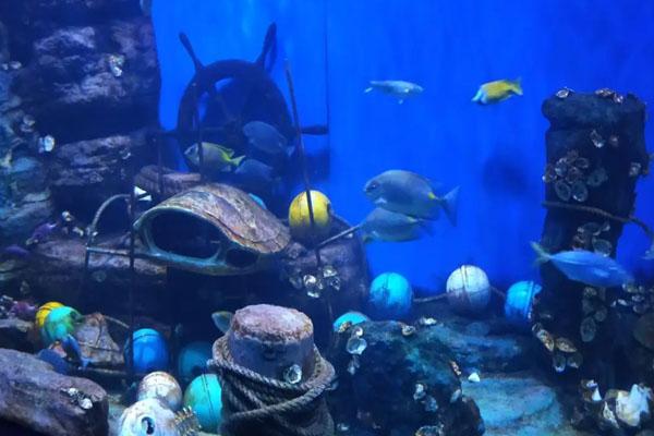 淄博桓台马踏湖、博山红叶柿岩确定为国家4A级旅游景区(图1)
