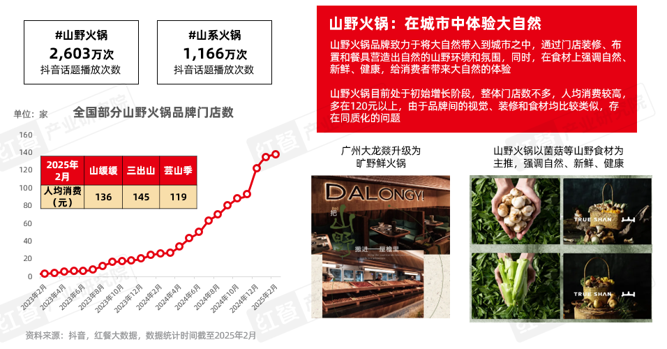 《火锅产业发展报告2025》发布：求新、求鲜、性价比、重视体验四大趋势推动火锅赛道发展(图12)