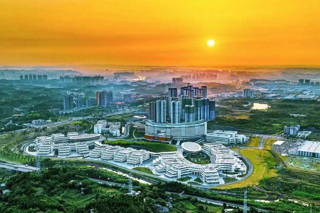 12个项目现场签约 2025中国牙谷产业发展大会在成都举行(图3)