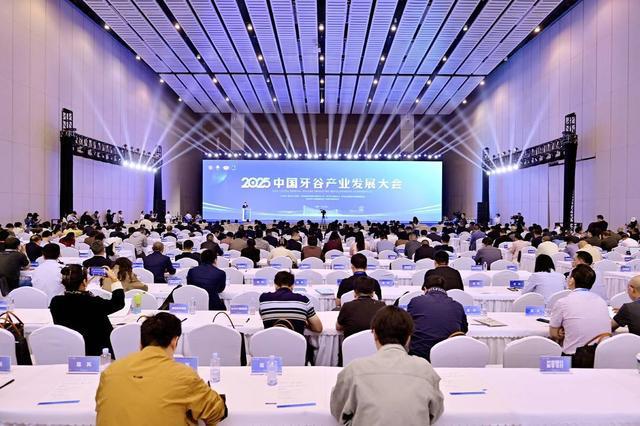 12个项目现场签约 2025中国牙谷产业发展大会在成都举行(图2)