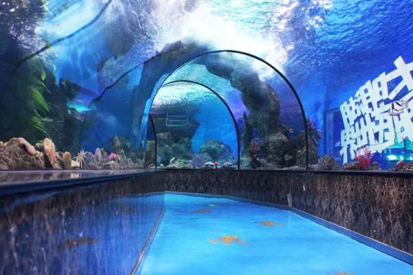 海洋不同深度的微塑料分布(图1)