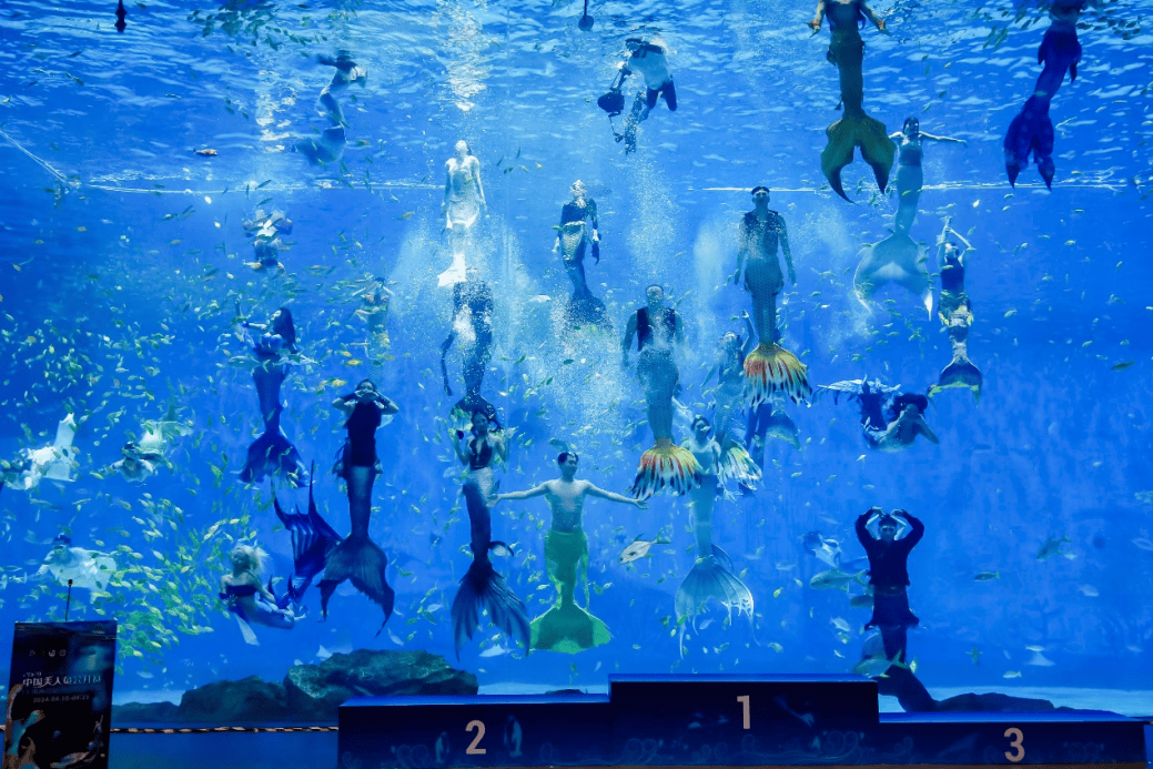 OAAS+IP驱动新篇章 海昌海洋公园发布2024年度业绩 旗舰项目蓄势待发(图2)