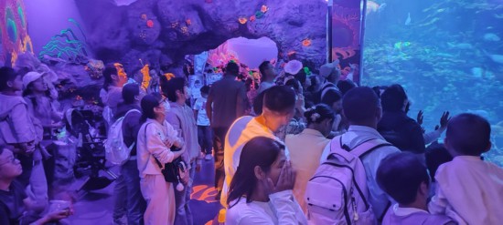“中国旅游日”迎来半价活动长风海洋世界、乐高探索中心客流可期(图1)