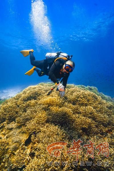 潜大海、进西藏、逛两极、游世界 “70岁以后 我活成了自己”(图2)