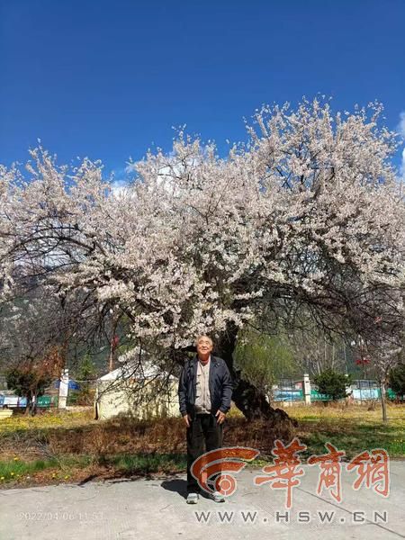 潜大海、进西藏、逛两极、游世界 “70岁以后 我活成了自己”(图4)