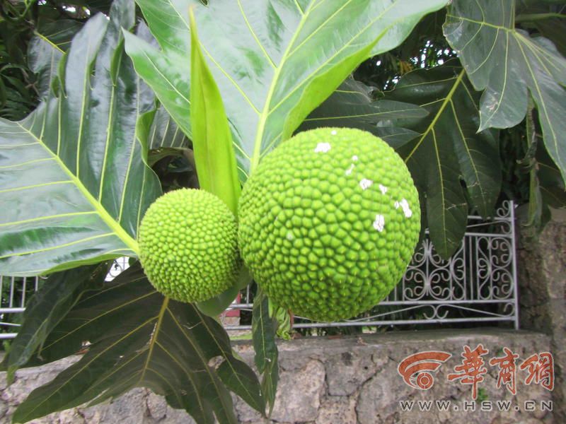 潜大海、进西藏、逛两极、游世界 “70岁以后 我活成了自己”(图9)