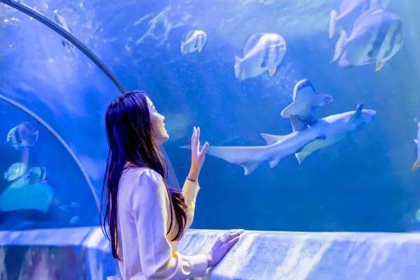 福建首个！今年完成设计明年动工！福州这里要建大型海洋主题公园！(图1)