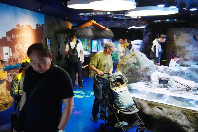 加码“中国旅游日”半价活动长风海洋世界与乐高探索中心客流可期(图1)