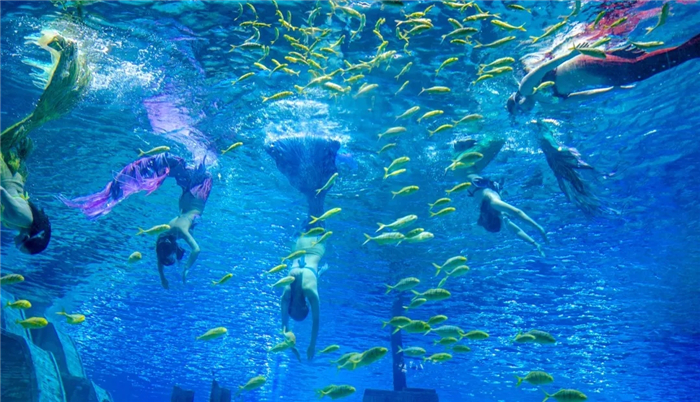 2024年我国海洋经济总量首次突破10万亿元邮轮母港客流量比上年增长10倍(图1)