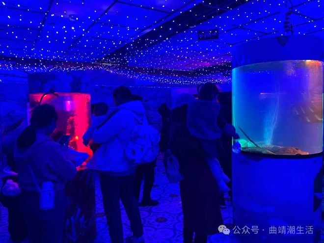 富源人注意！曲靖再现这种骗局已有人中招(图4)