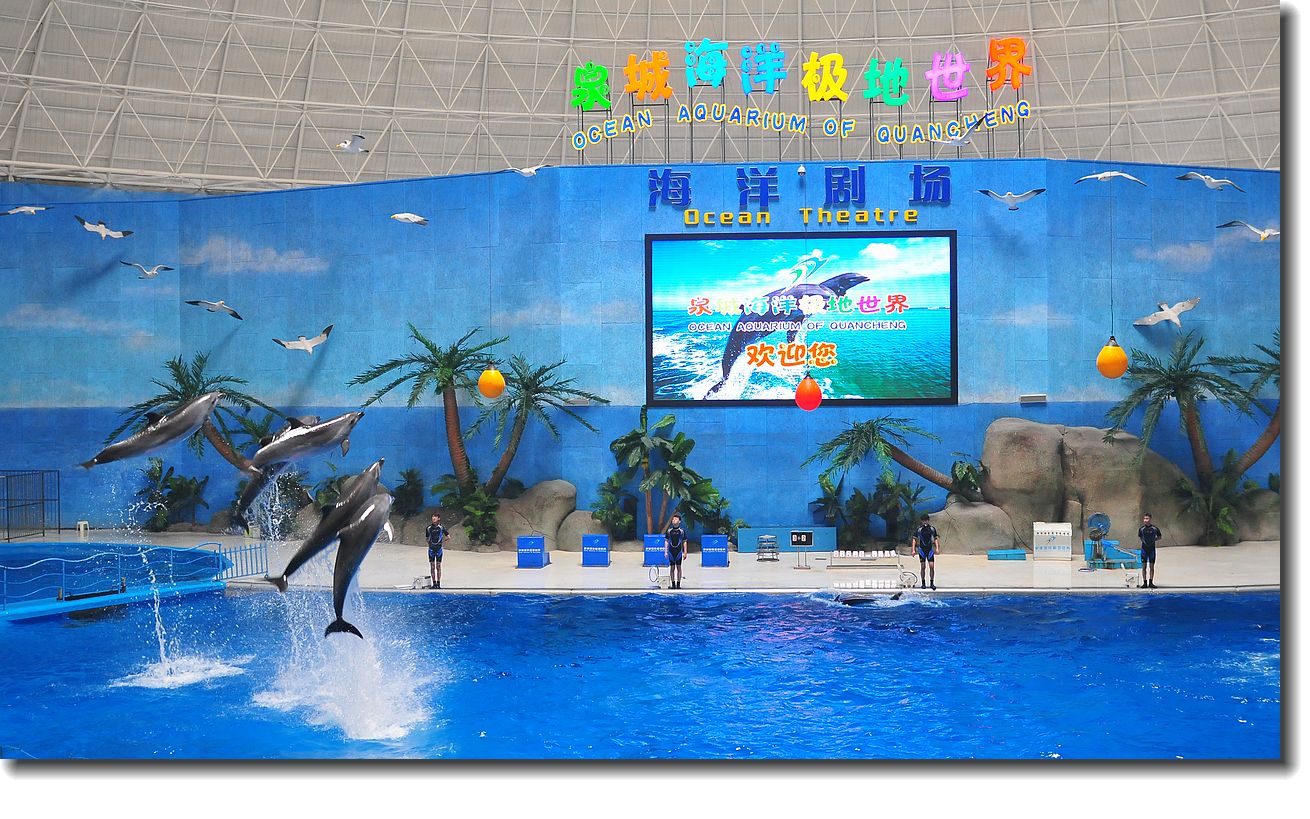 没有反转“海洋馆”今天让很多人失望！(图1)